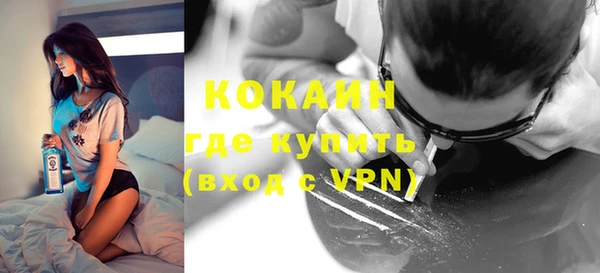 молекула духа Карпинск