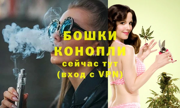 молекула духа Карпинск