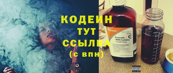 молекула духа Карпинск