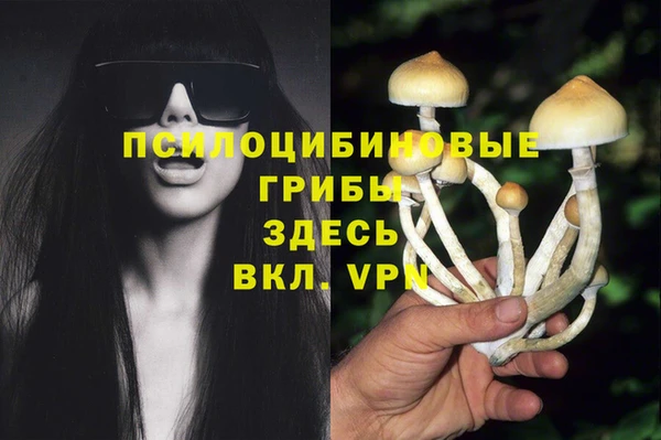 молекула духа Карпинск
