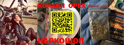 стафф Бердск