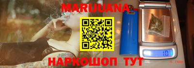 стафф Бердск