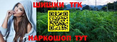 стафф Бердск