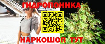стафф Бердск