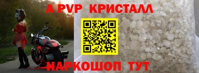 стафф Бердск