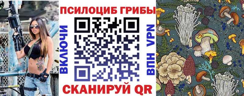 блэк спрут рабочий сайт где продают Пятигорск Галлюциногенные грибы Psilocybe
