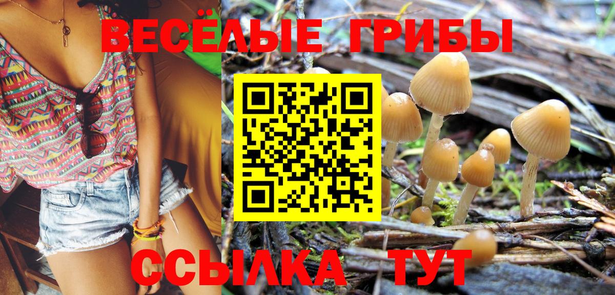 Галлюциногенные грибы мицелий Пятигорск