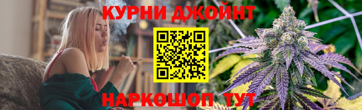 Конопля сатива Пятигорск